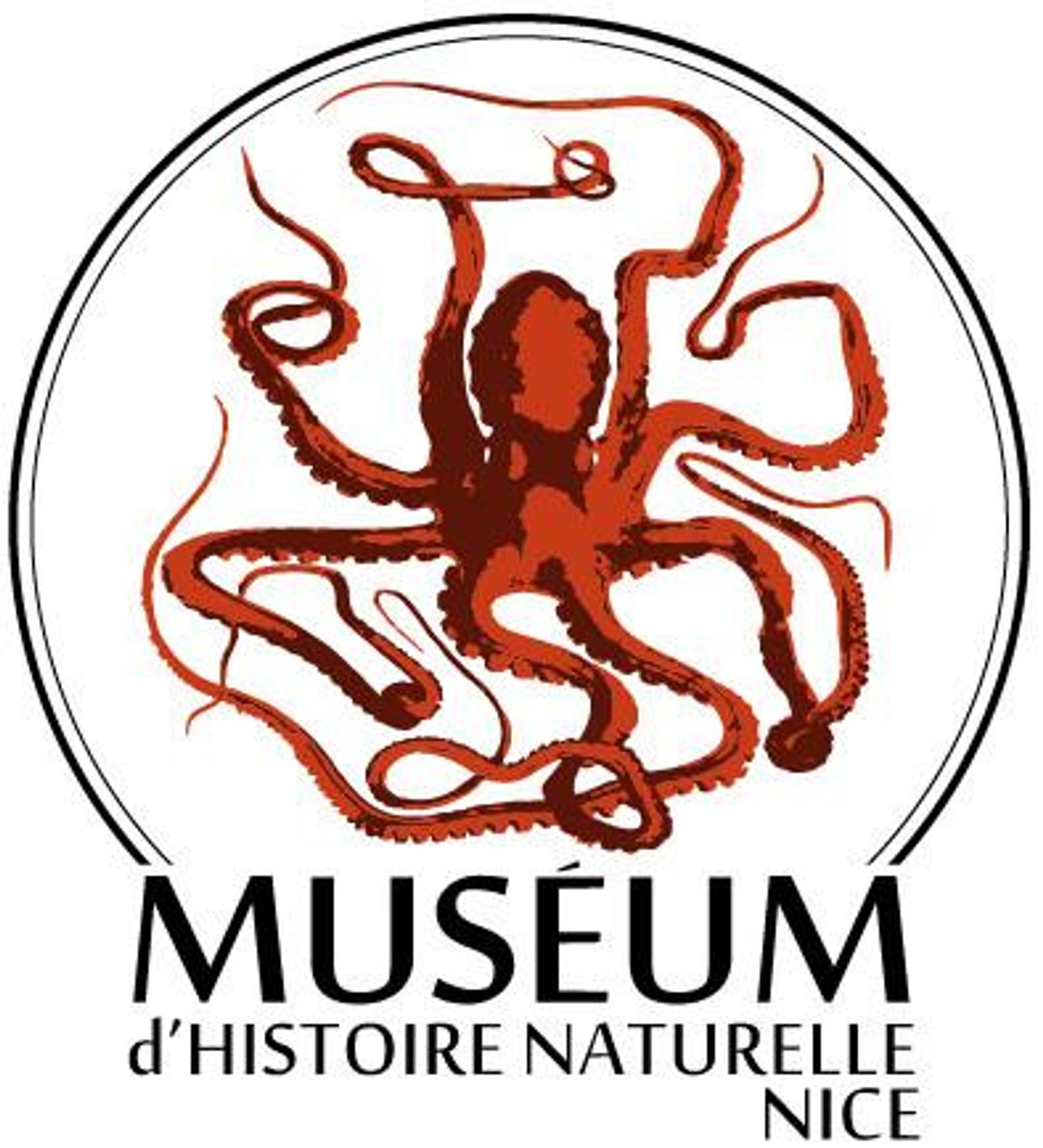 Muséum de Nice